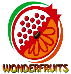 logonuevotransparente